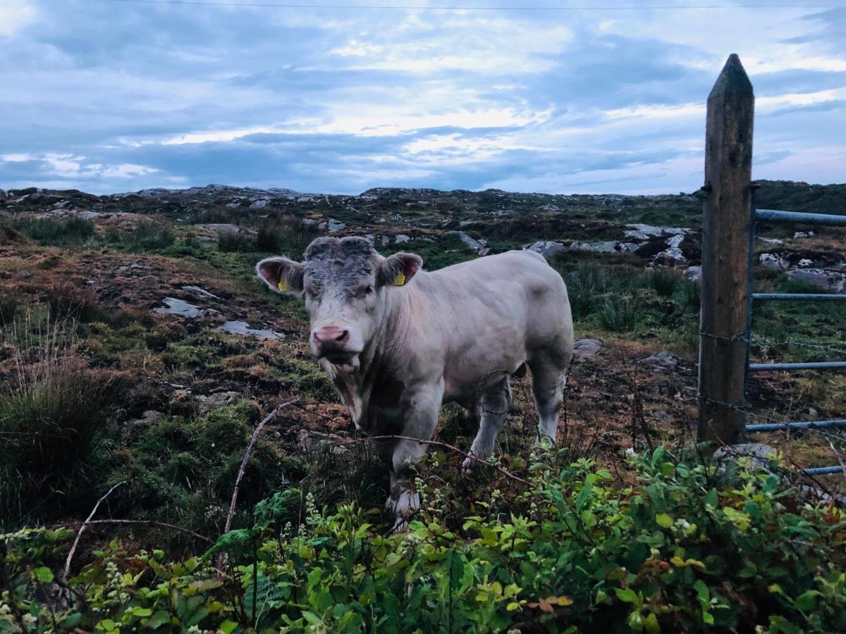 Connemara Sands Hotel & Spa Clifden Εξωτερικό φωτογραφία