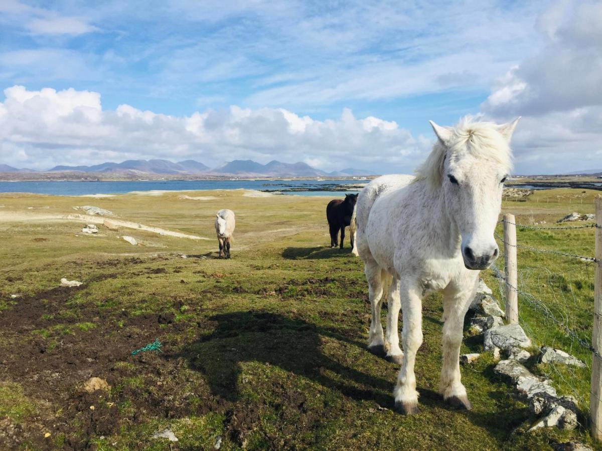 Connemara Sands Hotel & Spa Clifden Εξωτερικό φωτογραφία